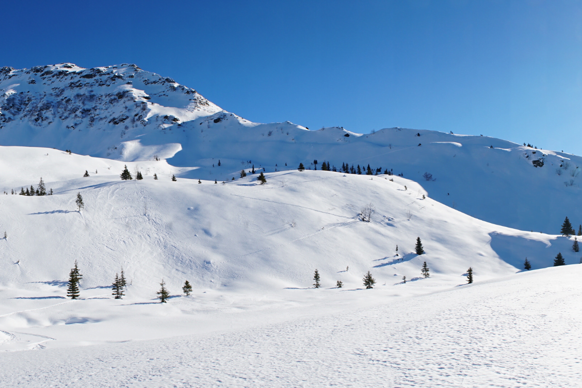 hotel-luxe-alpes