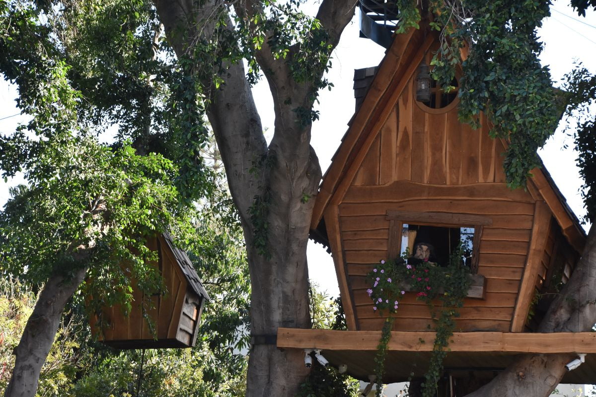 cabane-arbre-ardeche