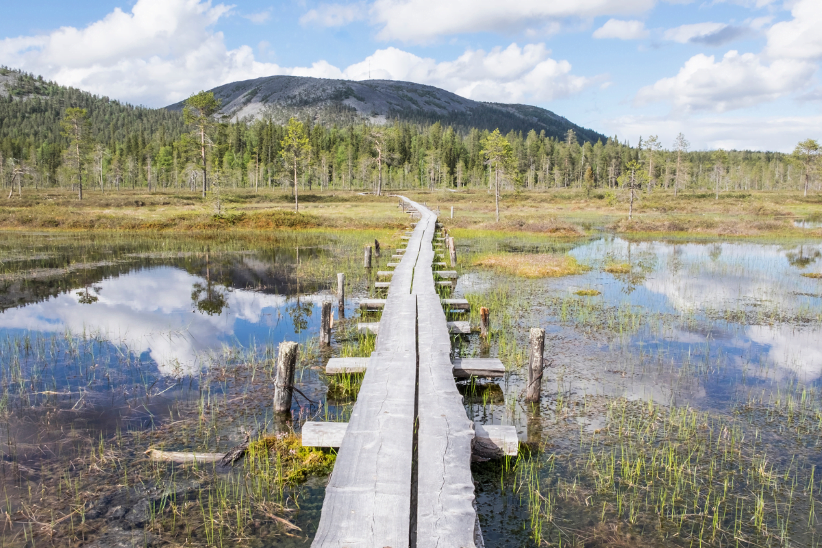 paysage-finlande