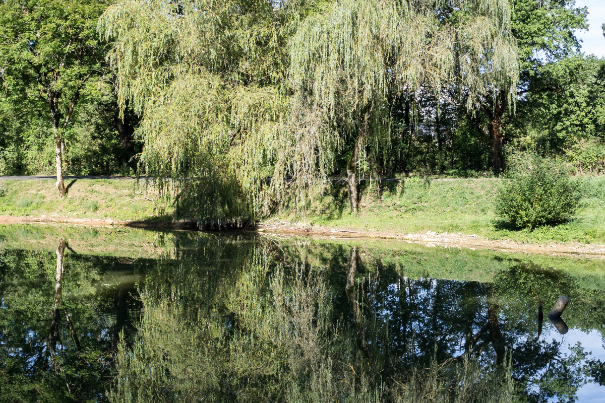 lac-dordogne