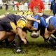 Joueurs de rugby