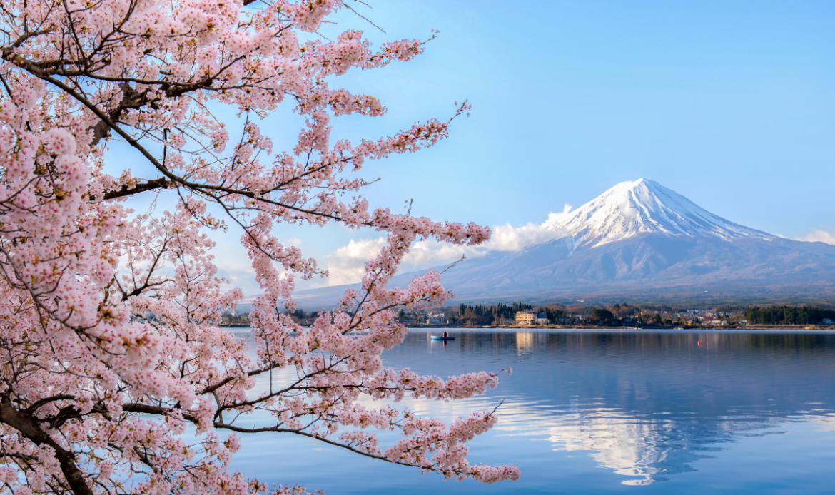 japon-15-jours