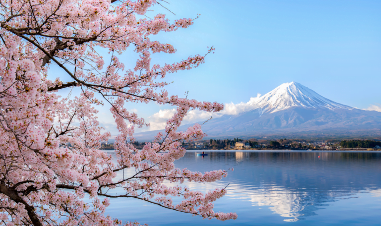 japon-15-jours