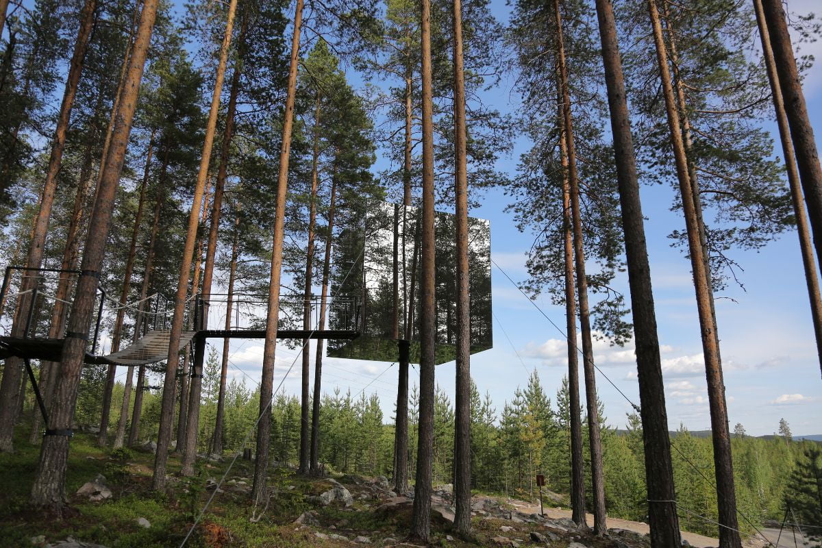 cabane-arbre-paca