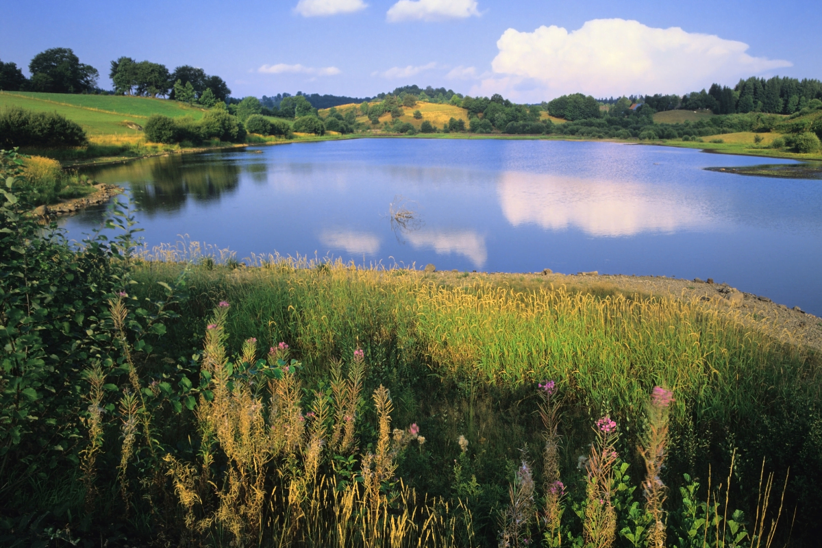 visiter-auvergne