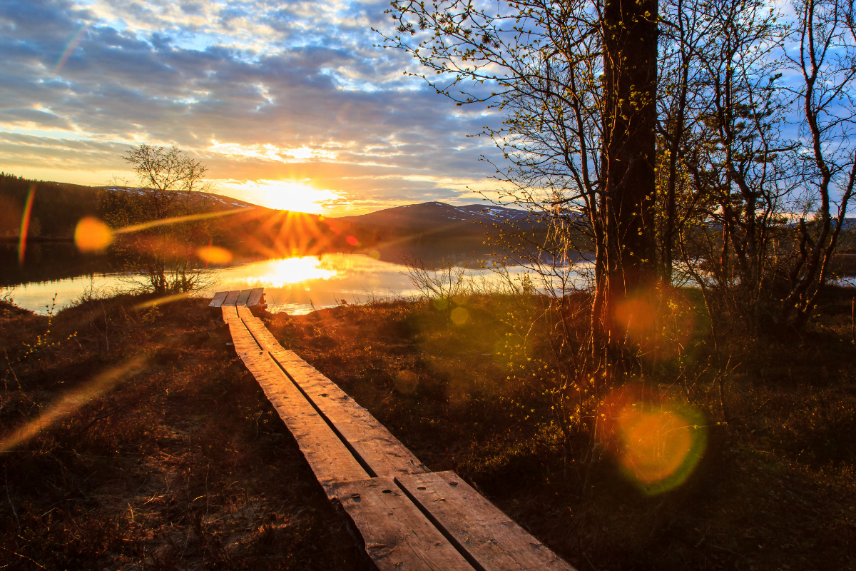 parc-national-finlande