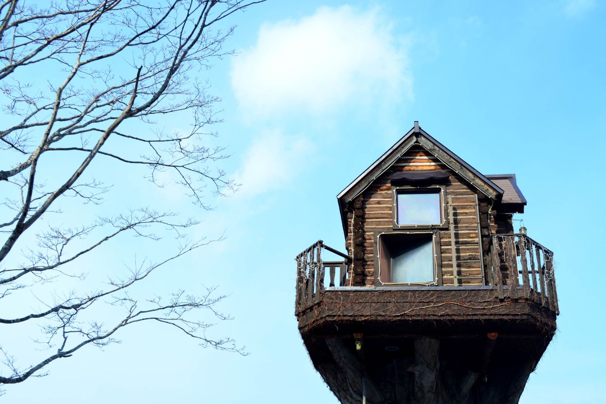 cabane-arbre-ardeche