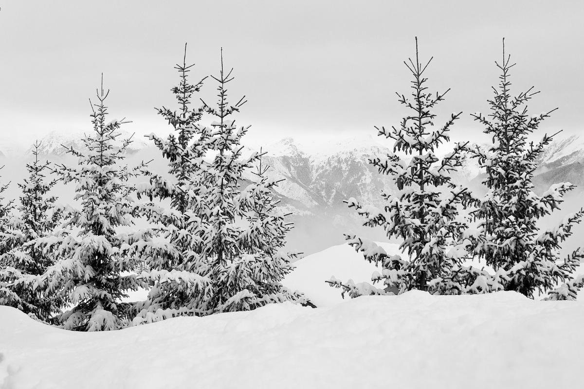 hotel-luxe-alpes