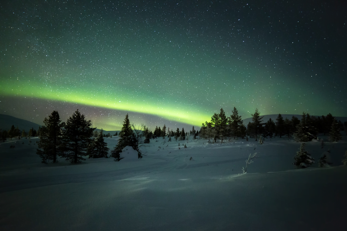 parc-national-finlande