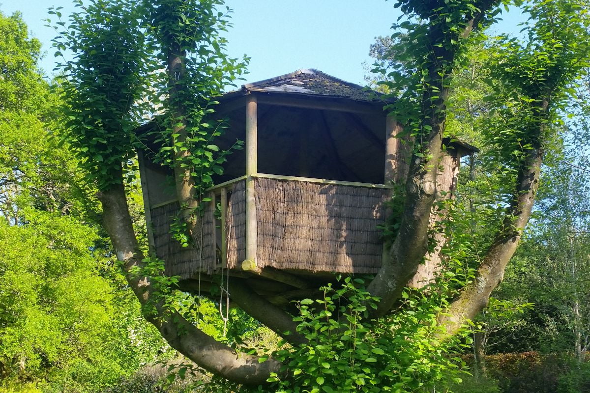 cabane-arbre-ardeche