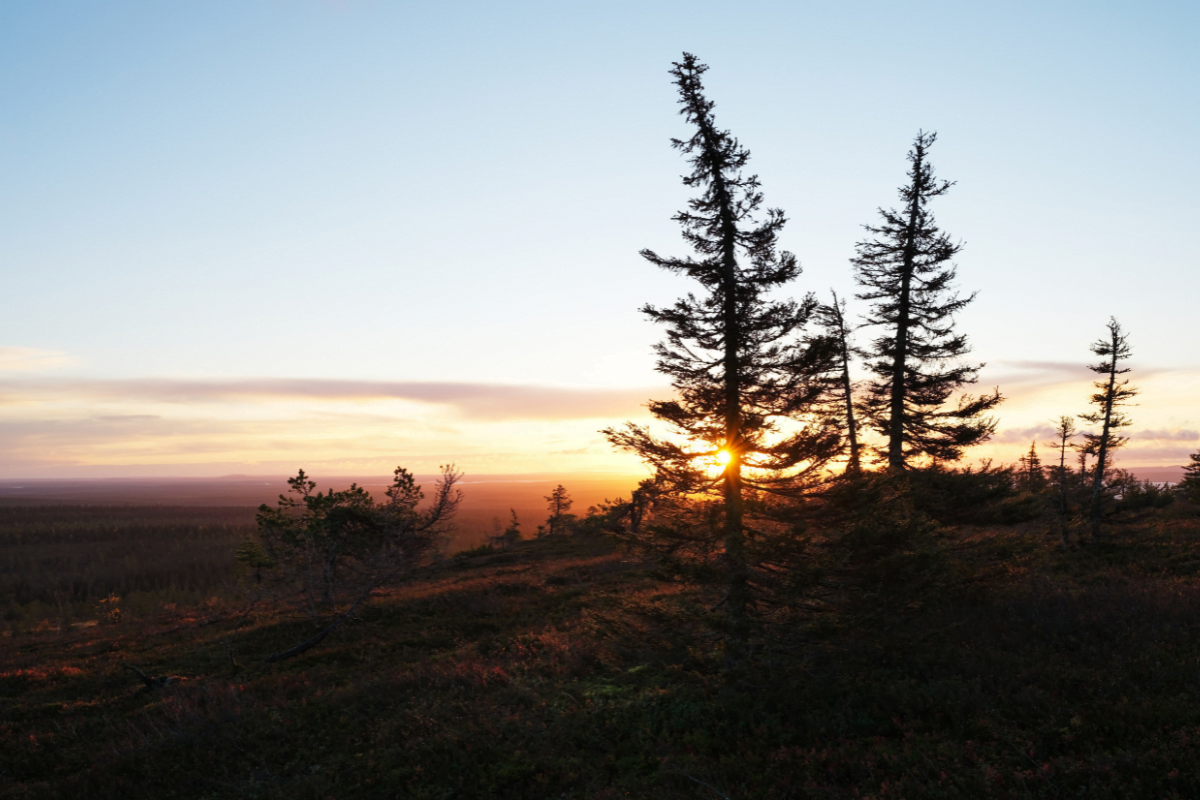 parc-national-finlande