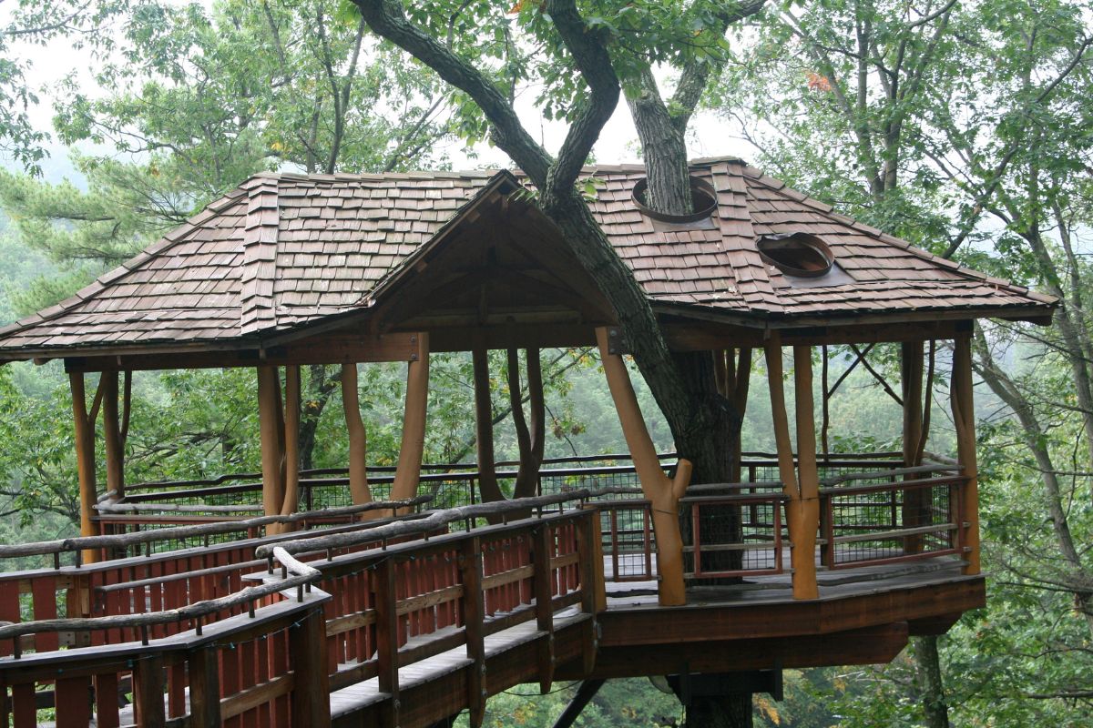 cabane-arbre-ardeche