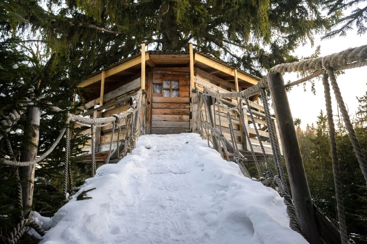 cabane-arbre-auvergne