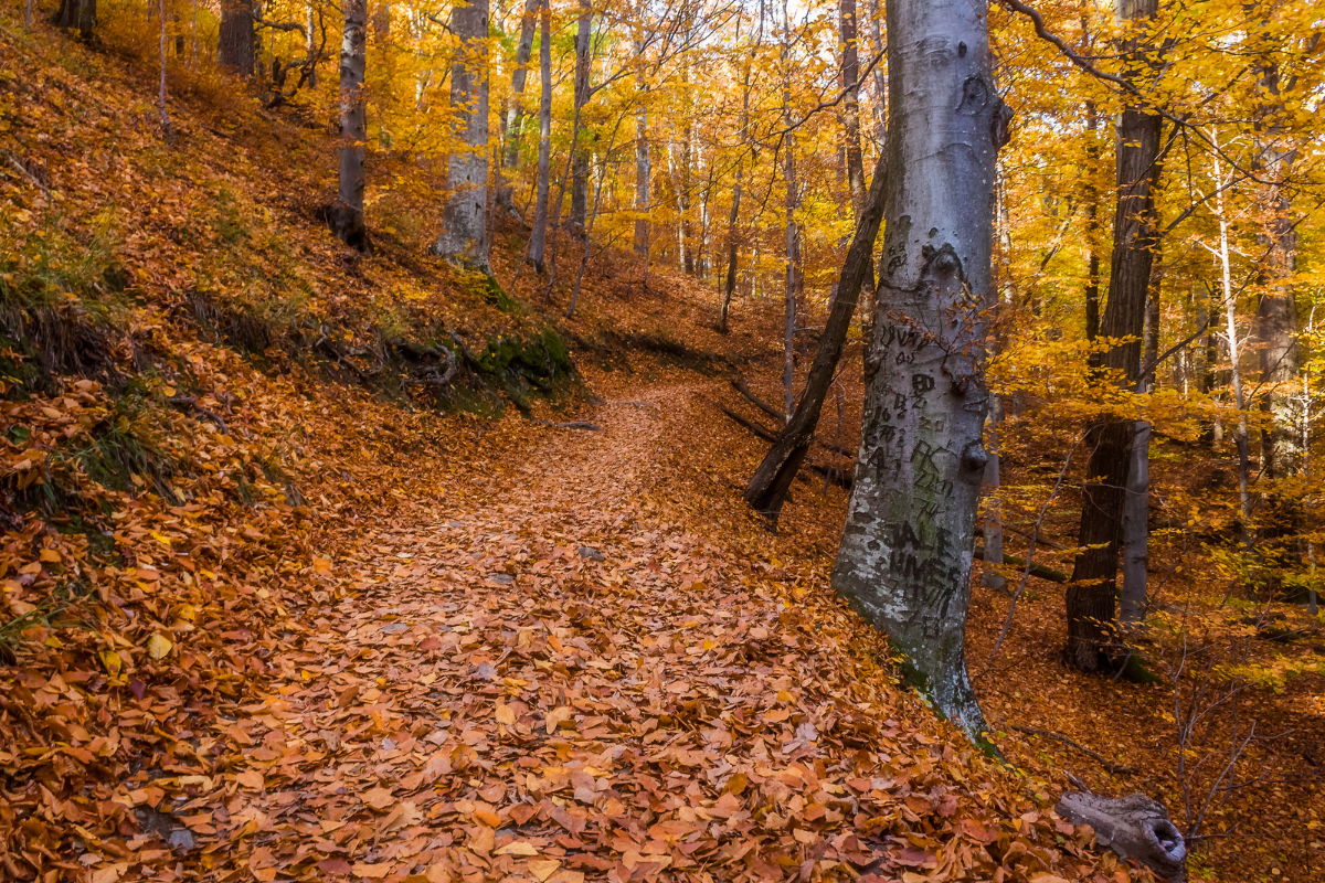 parc-naturel-croatie