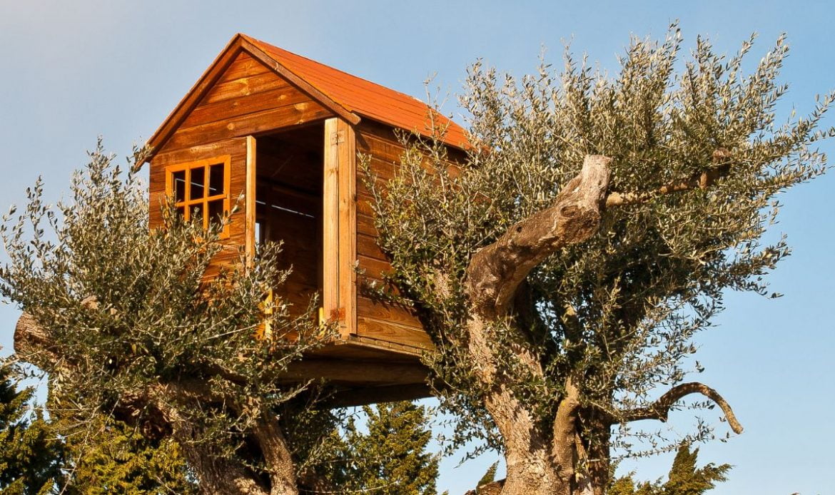 cabane-arbre-paca