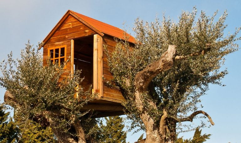 cabane-arbre-paca