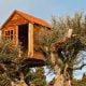 Top 4 des meilleures cabanes dans les arbres en Paca