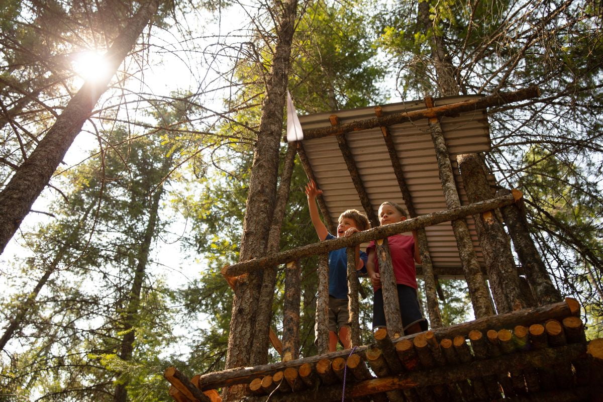 cabane-arbre-ardeche