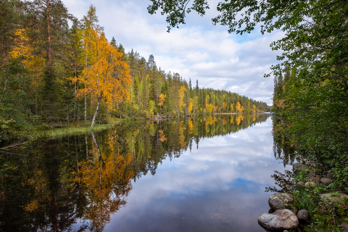 parc-national-finlande