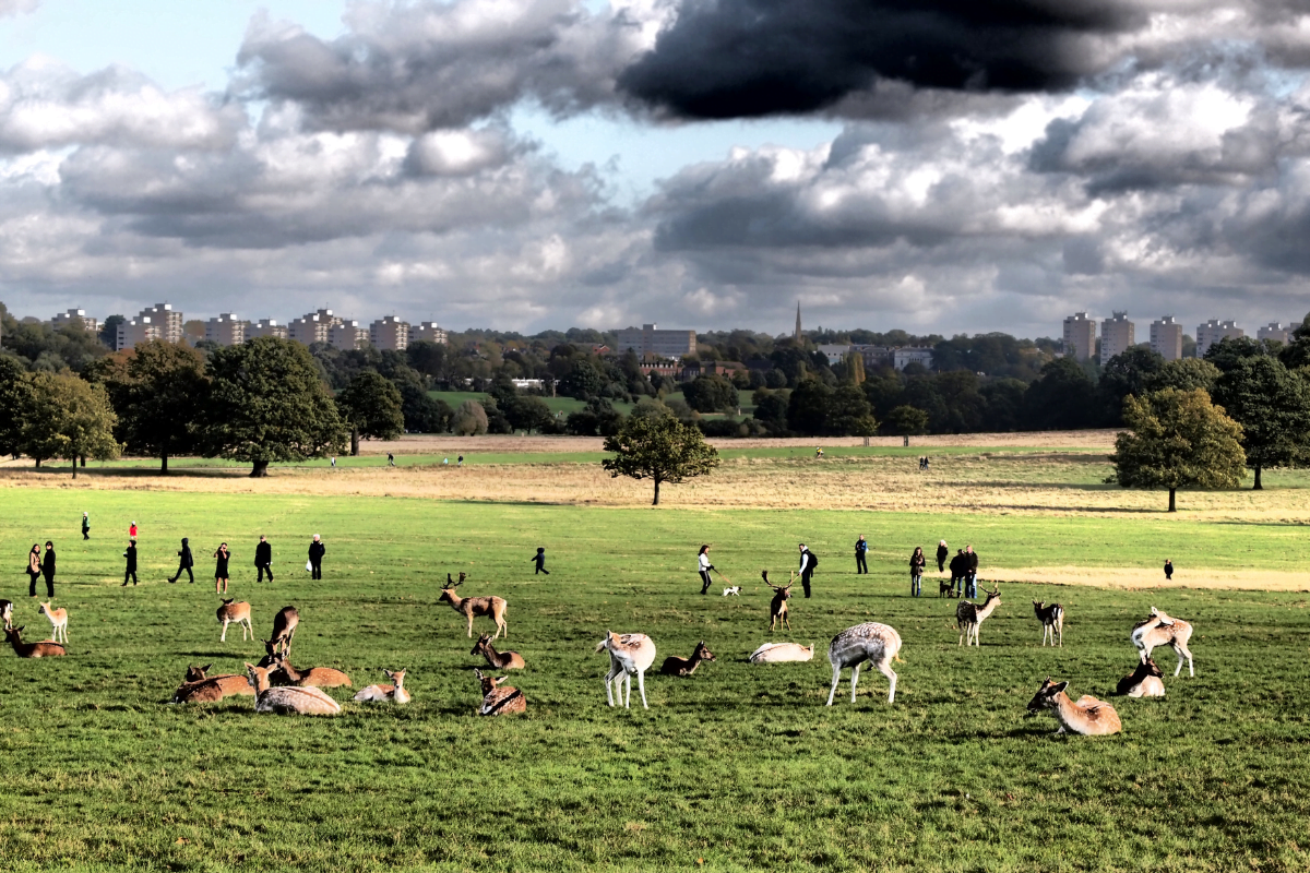 insolite-londres