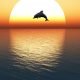 5 endroits incontournables pour admirer les dauphins en Bretagne