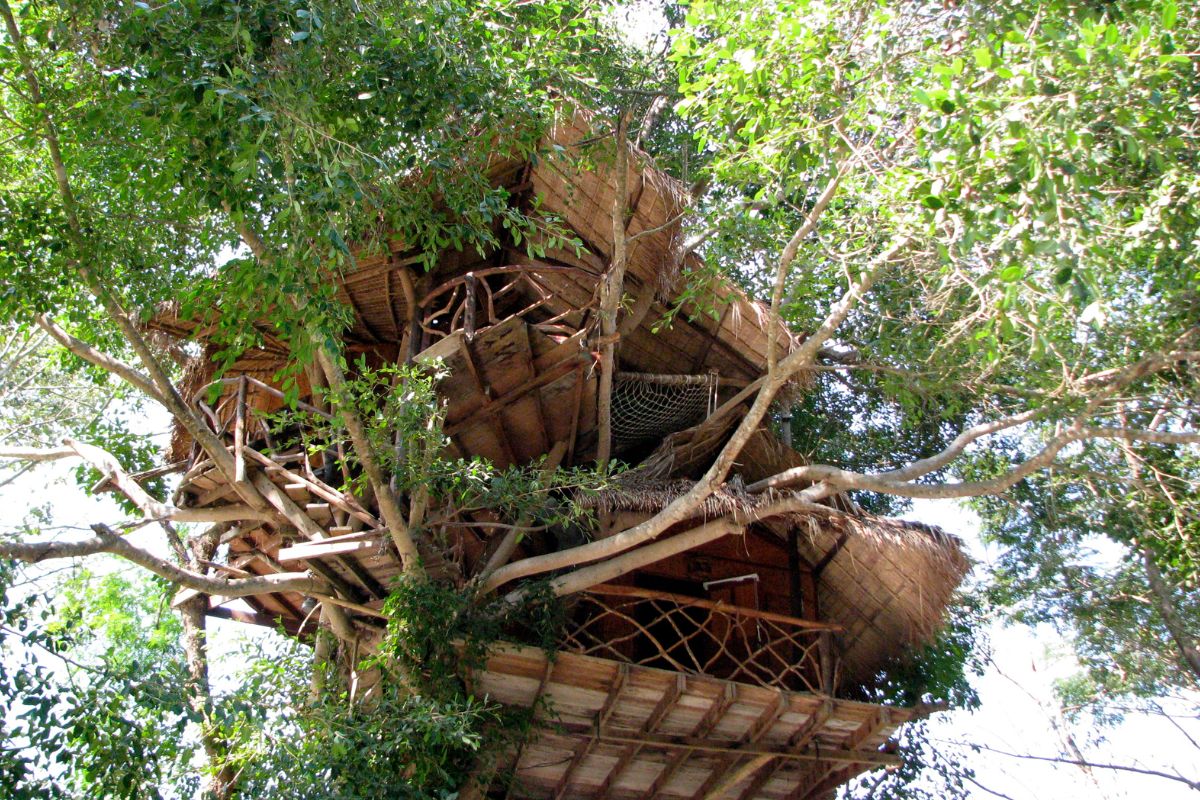 cabane-arbre-dordogne