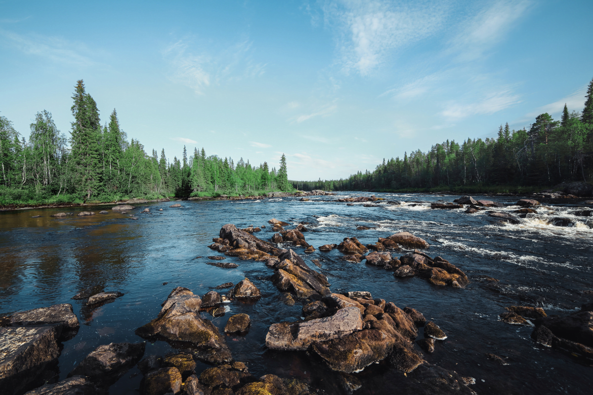 paysage-finlande