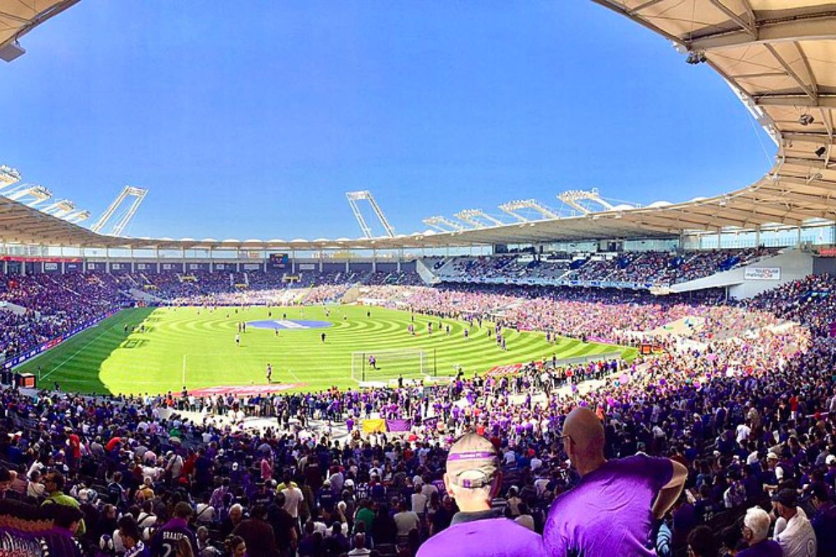 Stade toulouse 