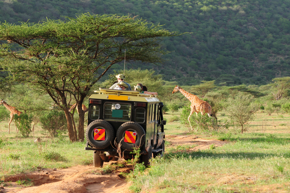 safari-afrique-du-sud