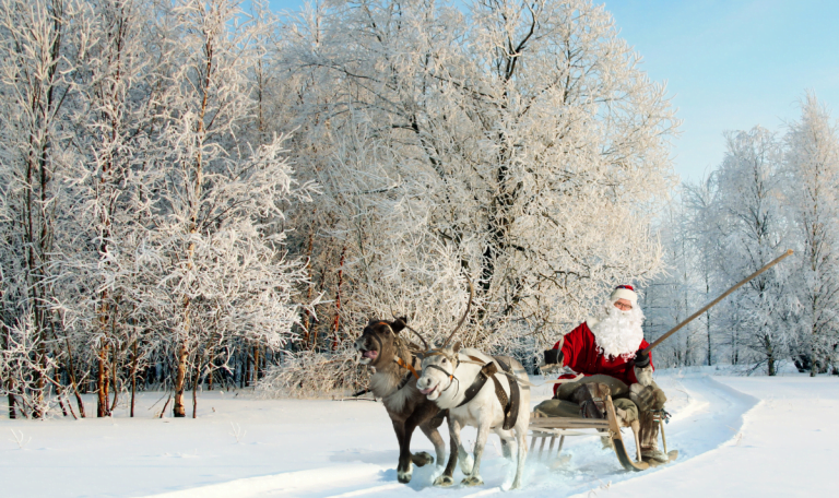 ou-voir-des-rennes-en-finlande
