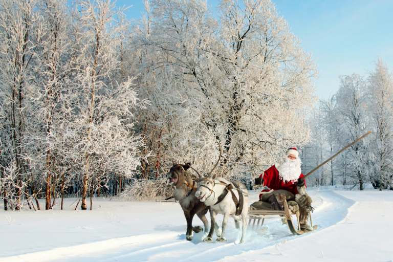 ou-voir-des-rennes-en-finlande