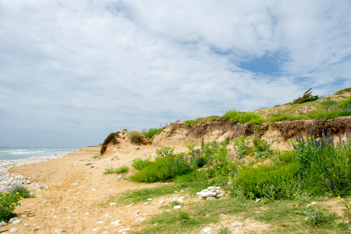 visiter-ile-oleron-3-jours