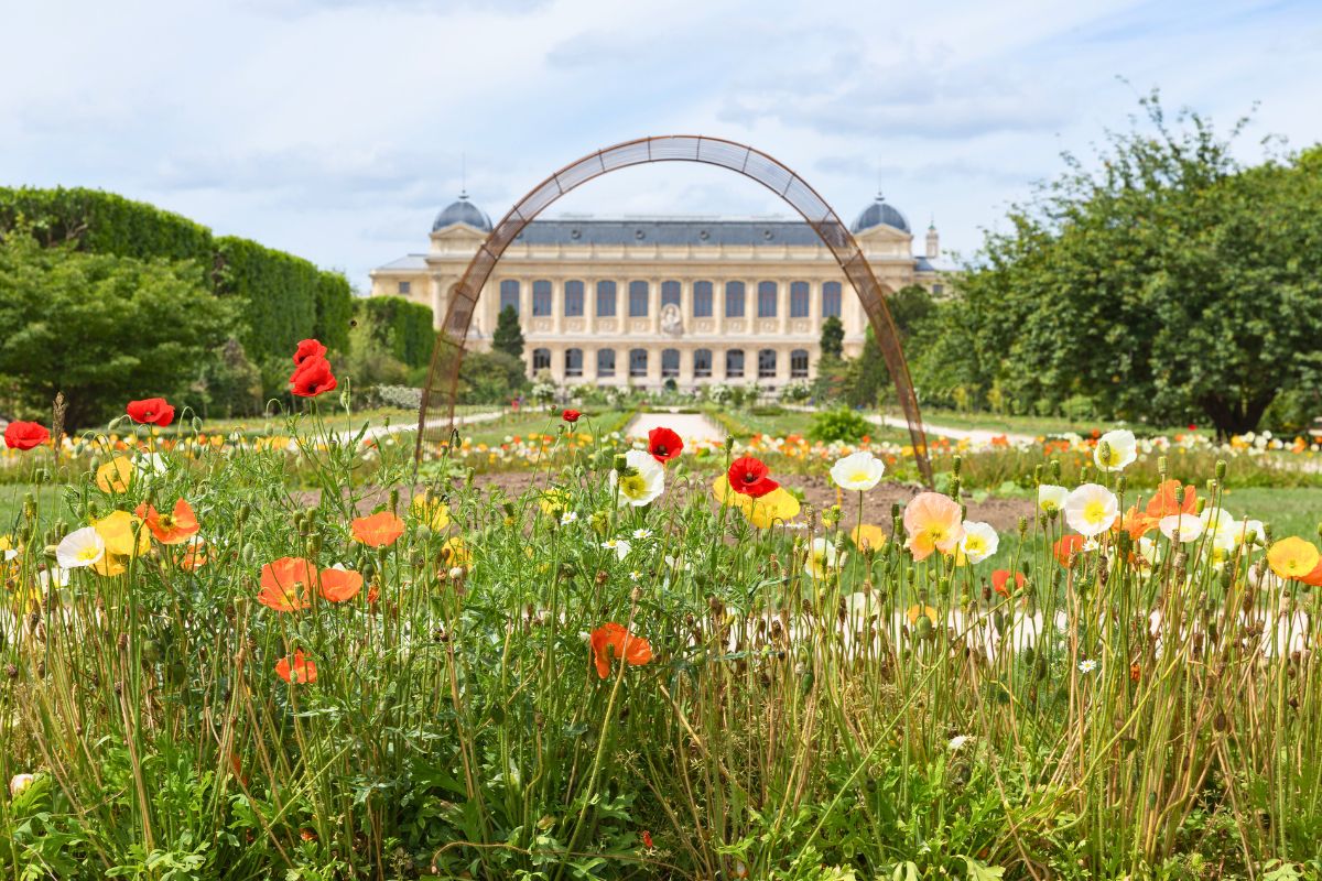 Le Jardin des Plantes