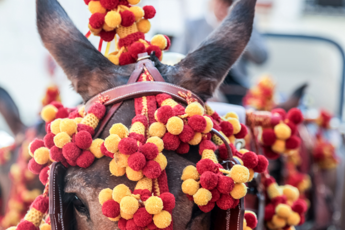 feria-france