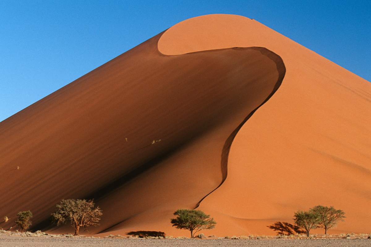 grand-desert-monde