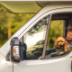 Top 10 des meilleures destinations pour voyager avec son Chien en Europe