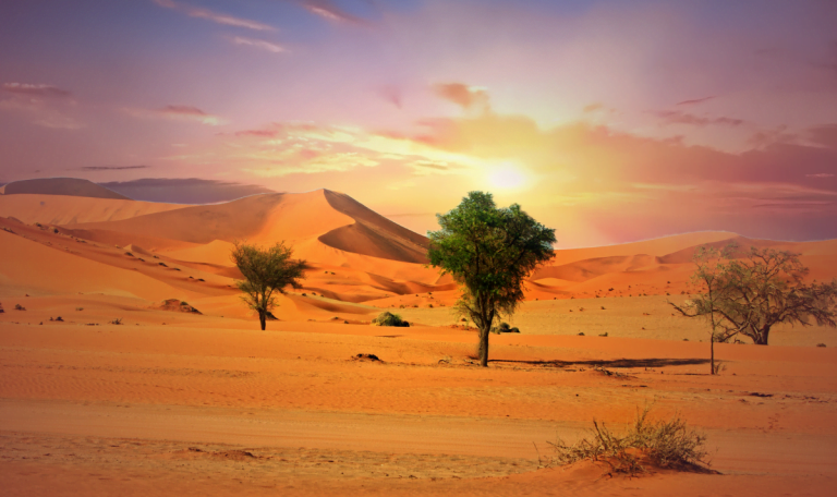 grand-desert-monde