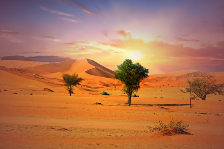 grand-desert-monde