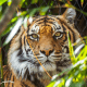 Top 10 des plus beaux zoos d’Europe en 2023
