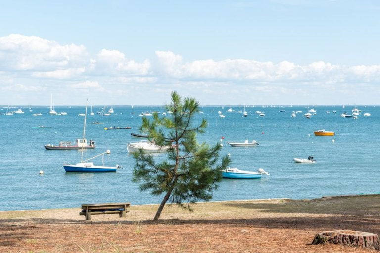 que-faire-bassin-arcachon