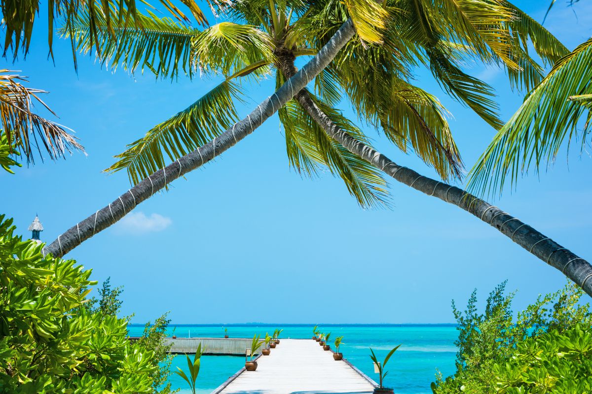 bahamas ou maldives ?