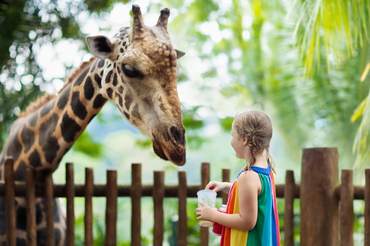 parc-animalier-france