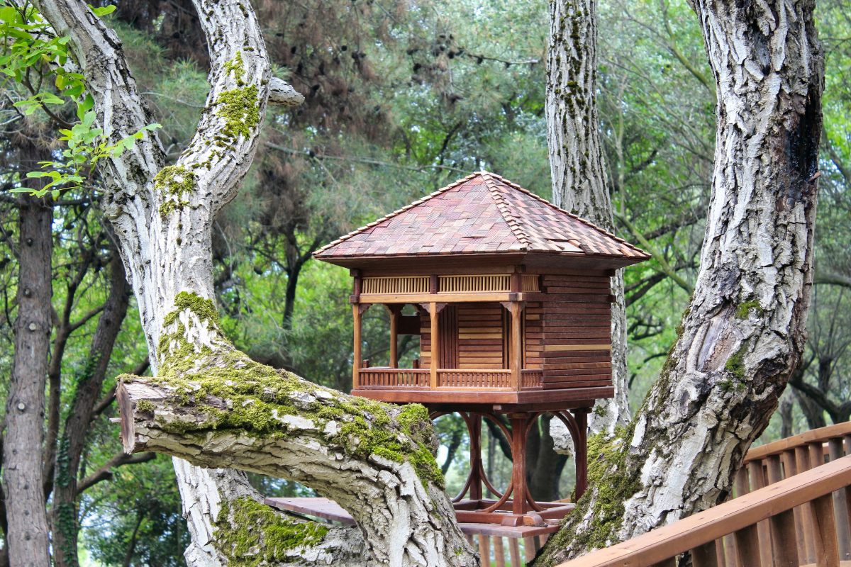 cabane-dans-les-arbres-vosges