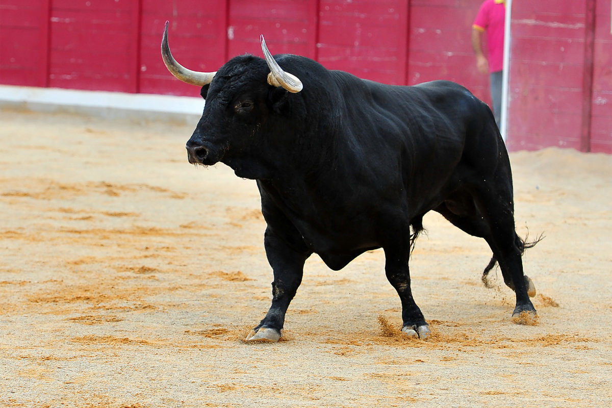 feria-france