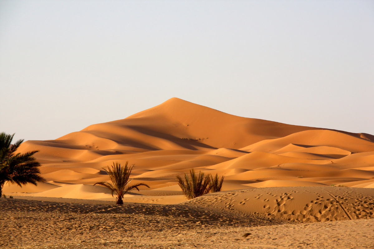 grand-desert-monde