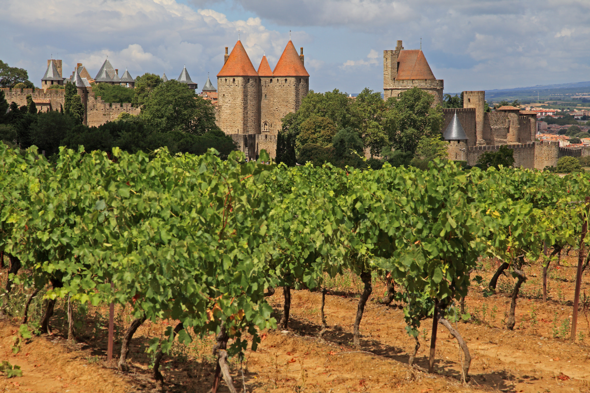 carcassonne-automne