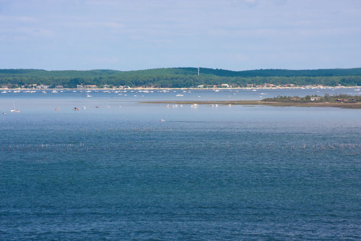 que-faire-bassin-arcachon