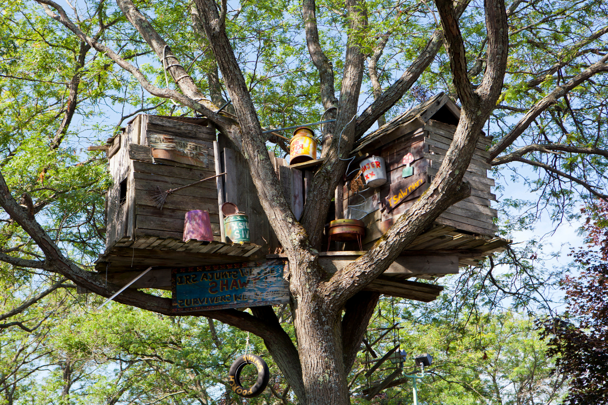 cabane-dans-les-arbres-vosges