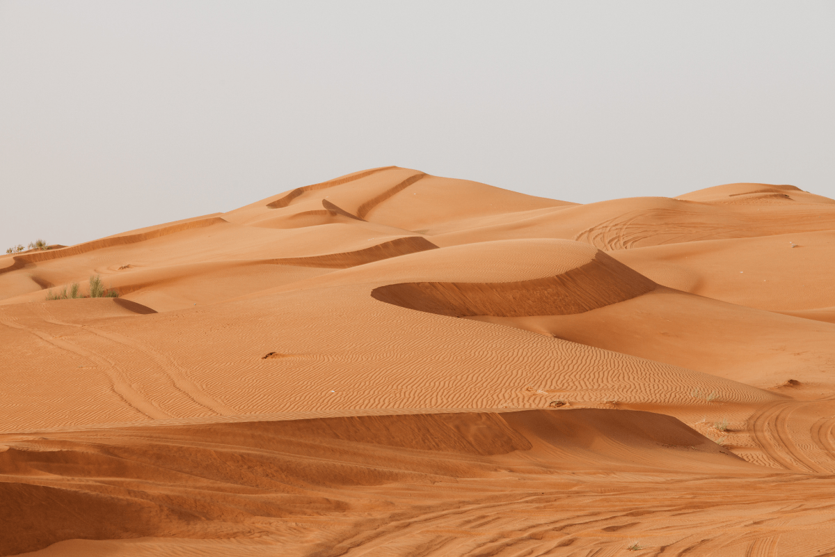 grand-desert-monde