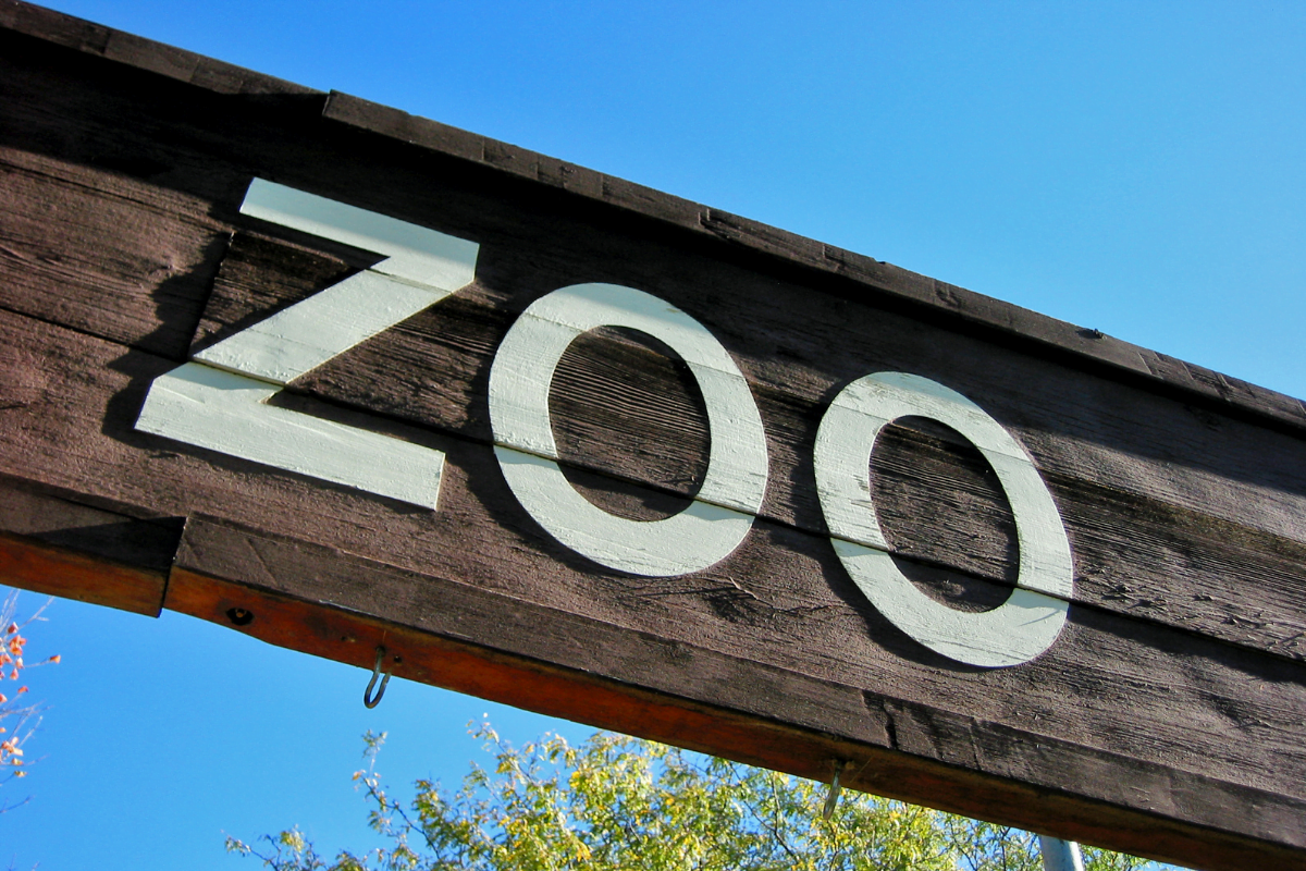 zoo de beauval
